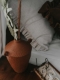 Picture of Pebble Vase 